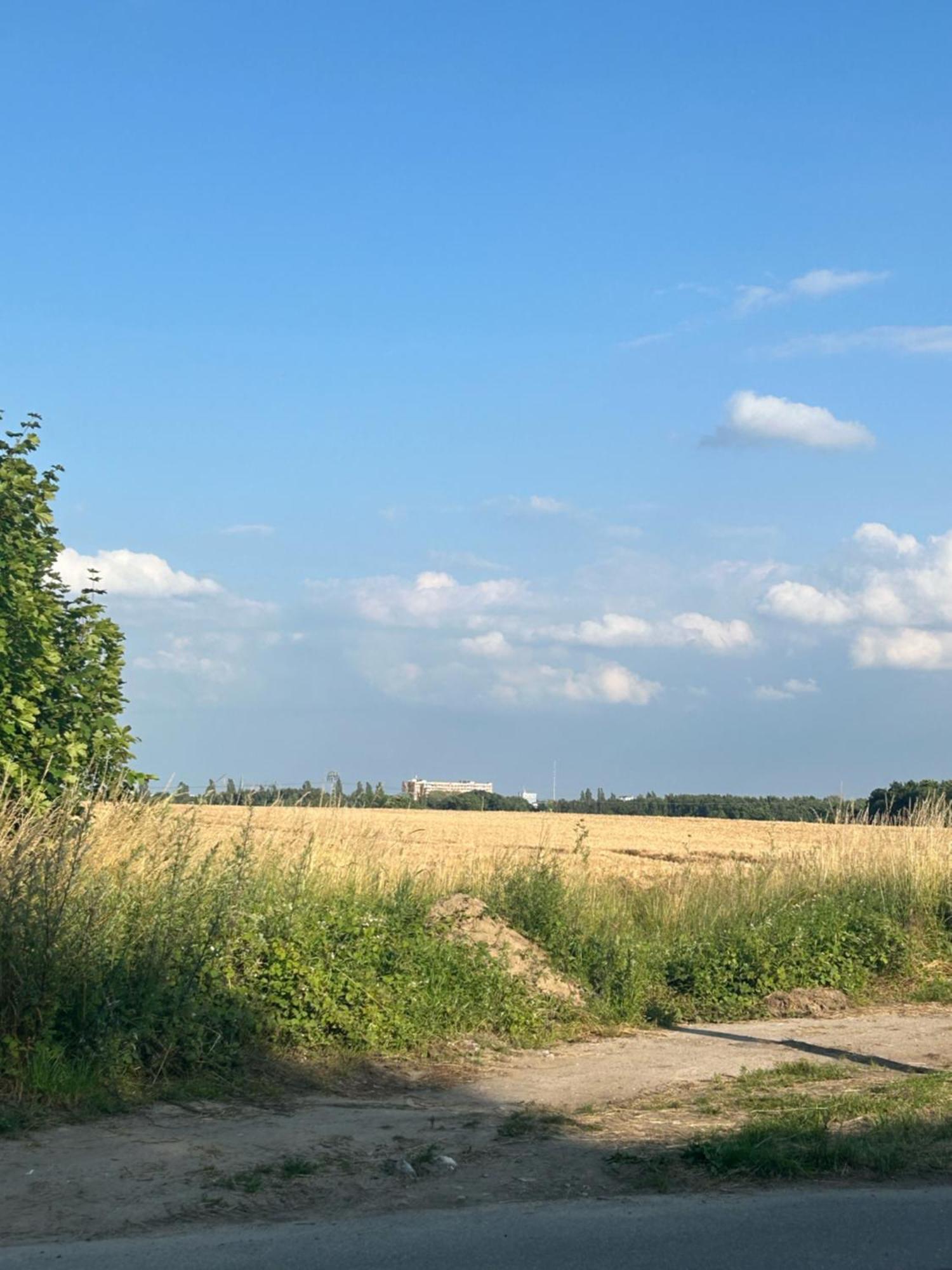 Ferienwohnungen Mit Feldblick Schwerin (Mecklenburg-Vorpommern) Exterior foto